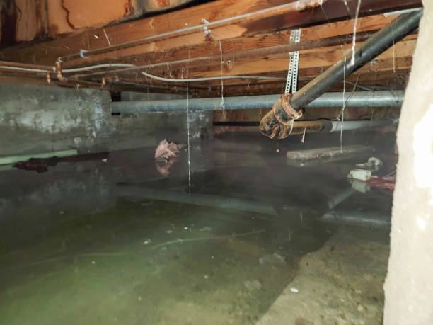 Best Residential water damage restoration  in Shady Point, OK