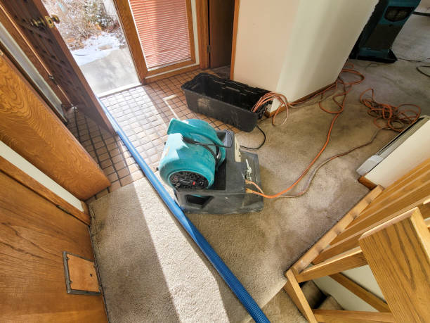 Best Commercial water damage restoration  in Shady Point, OK