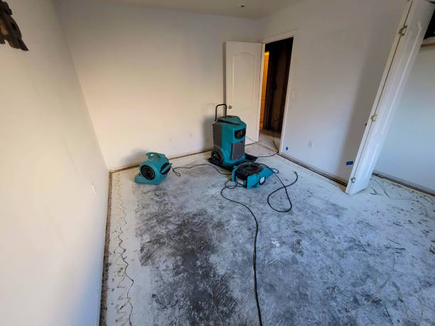 Best Carpet water damage restoration  in Shady Point, OK