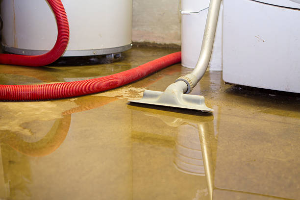 Best Water damage restoration near me  in Shady Point, OK