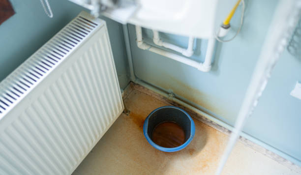 Best Water damage cleanup near me  in Shady Point, OK