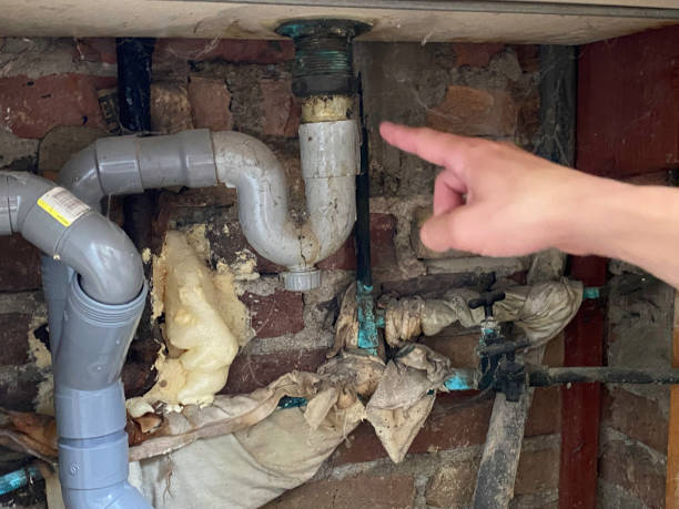 Best Local water damage restoration  in Shady Point, OK